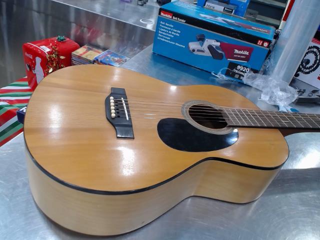 Guitare 12 cordes