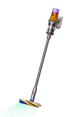 Aspirateur dyson v12