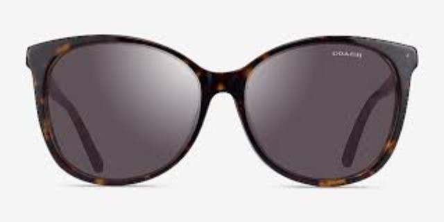 Lunettes coach pour femme