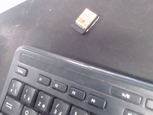 The legend of zelda breath of the wild