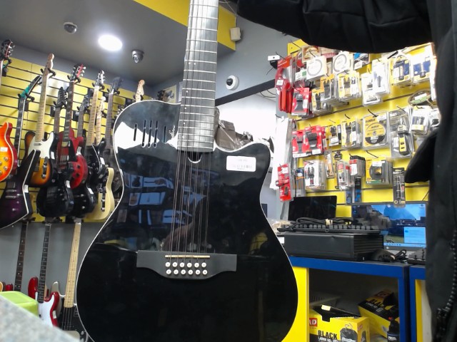 Guitare electrique 12 cordes