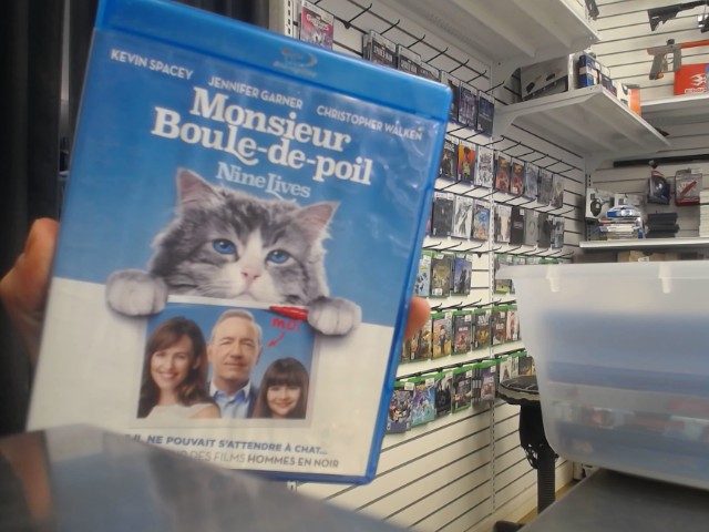 Monsieur boule-de-poil nine lives