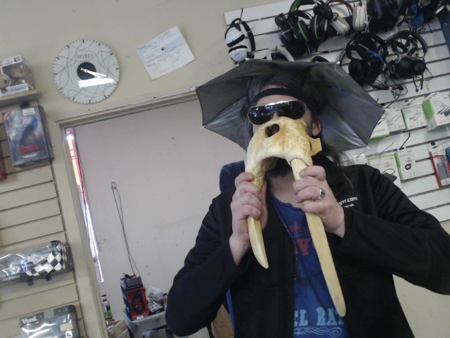 Nez de wallruss en ivoire natif