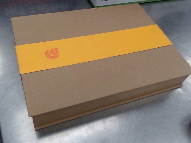 Daylight computer dc-1 e reader