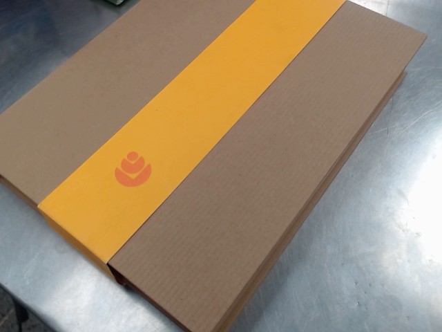 Daylight computer dc-1 e reader