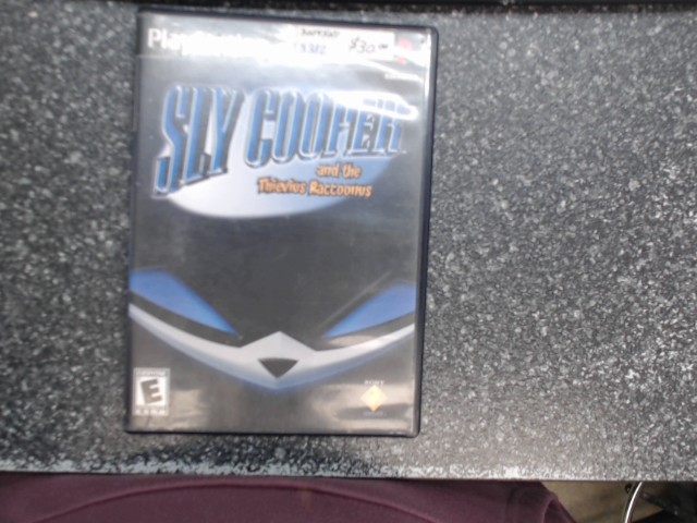 Sly cooper and the thievius raccoonus