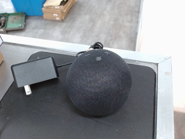 Amazon echo