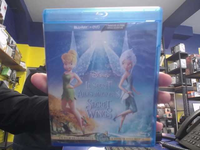 Le secret des ailes magiques