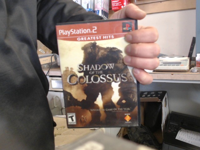 Shadow of the colossus