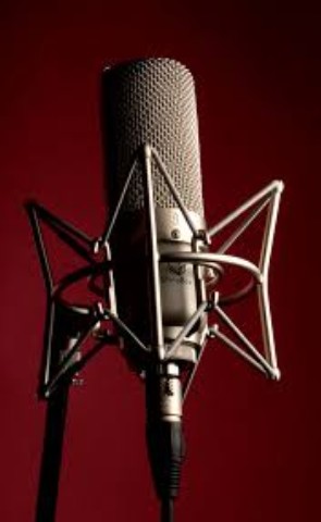 Microphone shiby box 46mxl