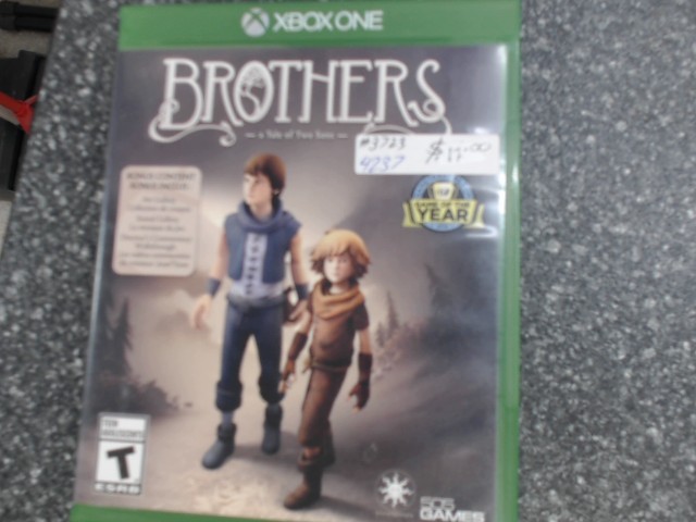 Brothers a tale of two sons