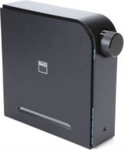 Hybrid digital amplifier rad