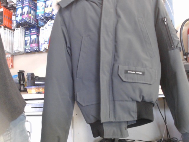 Manteau gris fourure pale