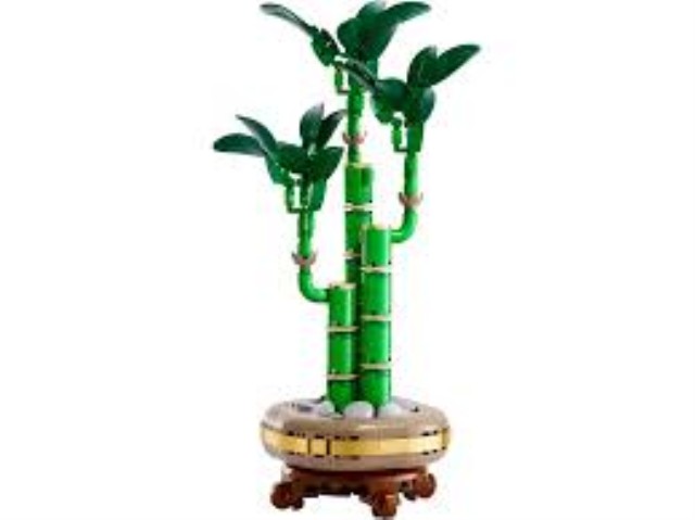 Lego botanicals 10344