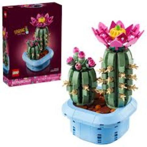Legi flowering cactus 11509