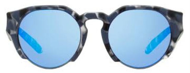 Lunette drgon compass ion 462