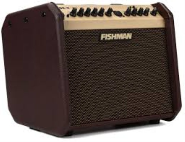 Fishman loudbox mini
