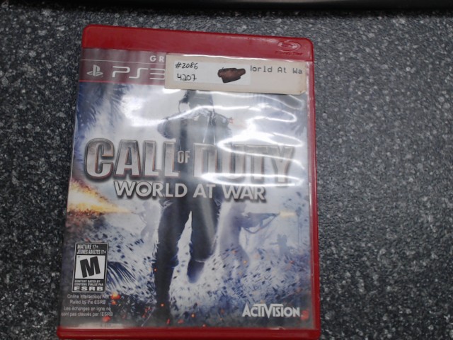 Call of duty world at war