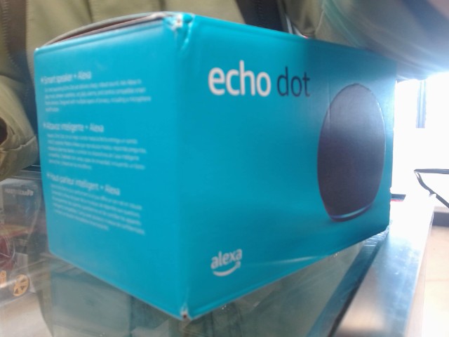Echo dot alexa