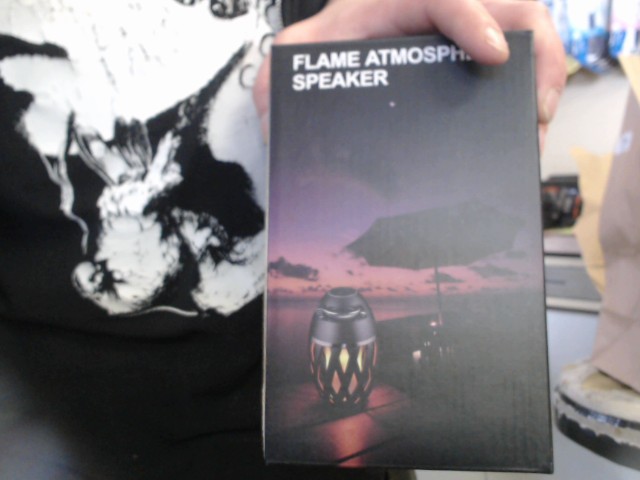 Flame atmosphere speaker