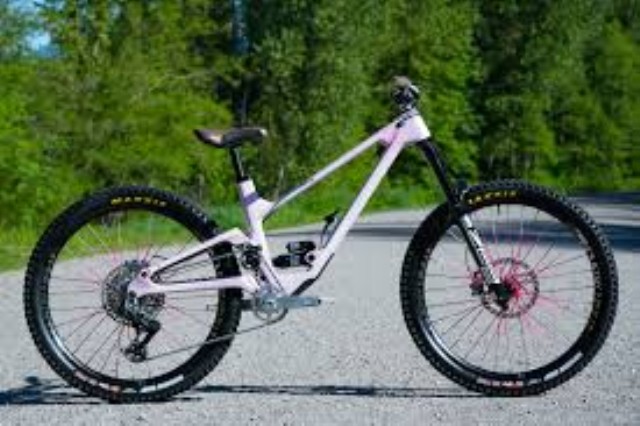 Druid forbidden rose full susp