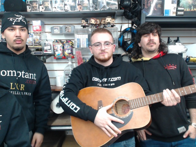 Guitare norman protege b15 brown