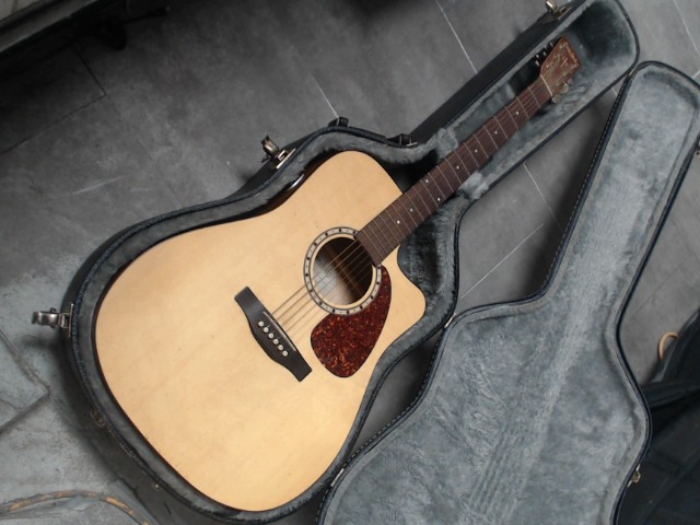 Guitare accoustique avec case noir