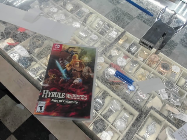 Hyrule warrior age of calamity