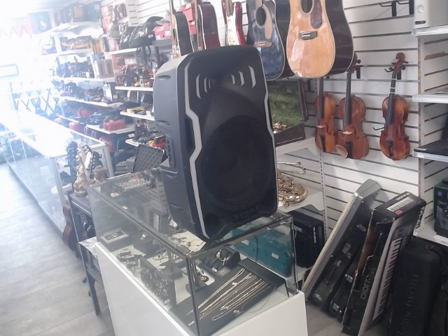 Speaker gros noire wireless +cable