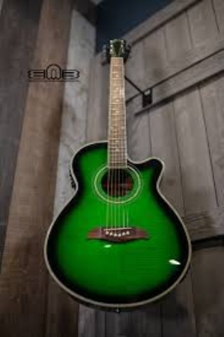 Guitare vert dans etuis mou noir