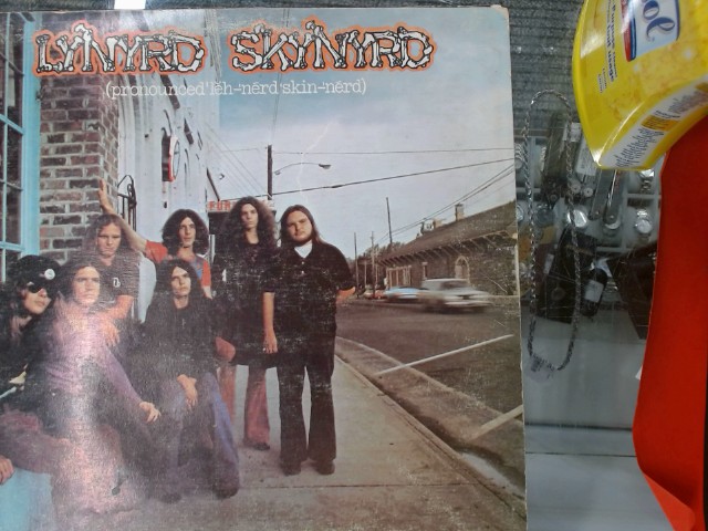 Lynyrd skynyrd vinyl