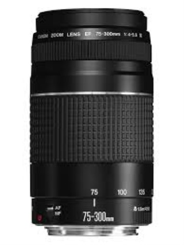 Lens canon ef75-300 f/4-5.6 iii