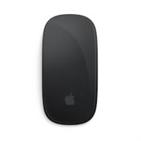 Apple mouse noire