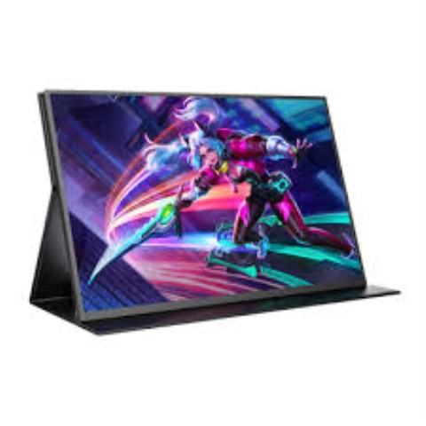 Monitor portable 24p