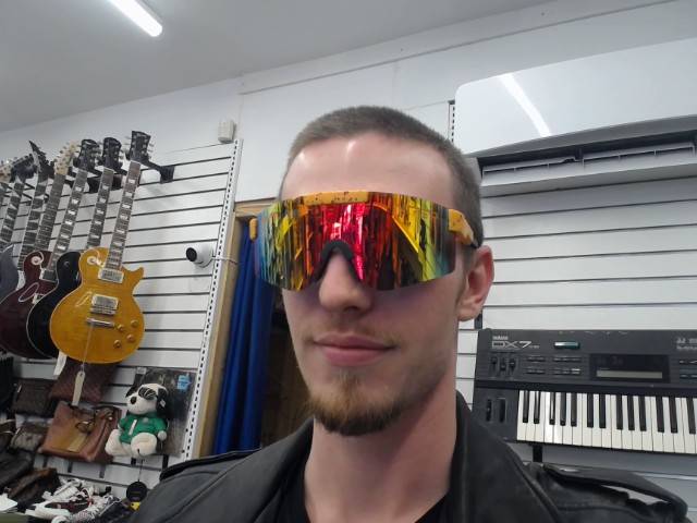 Pit viper jaune vert et branche noire