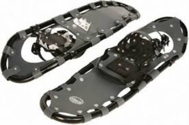 Paire de snow shoes