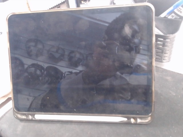 Ipad air 4th generation + pen and case