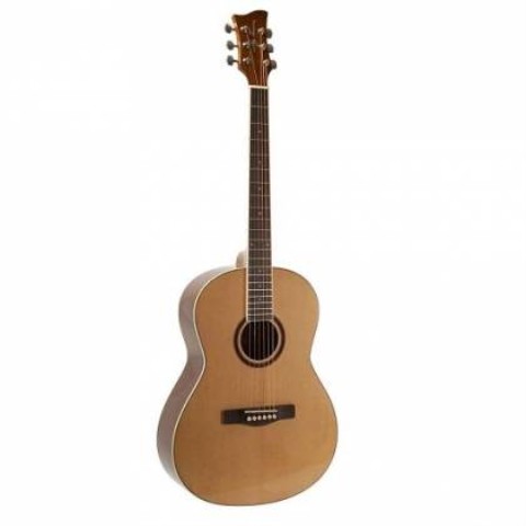 Guitare jay turser gauch�re