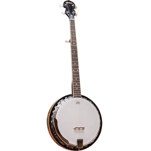Banjo 5 cordes alabama new avec case