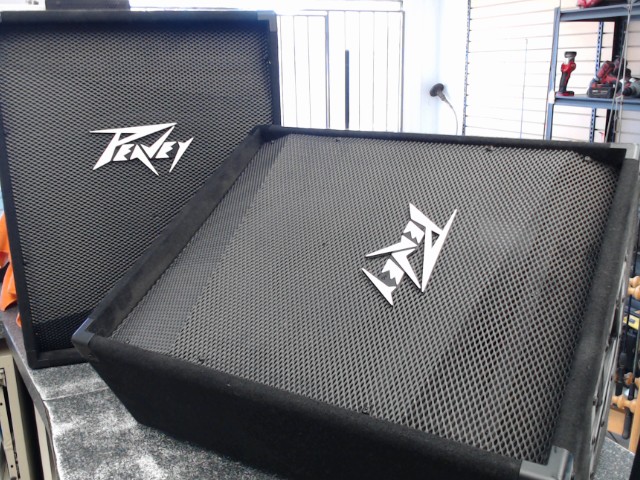 Paire peavy 2-way floor monitor+stand