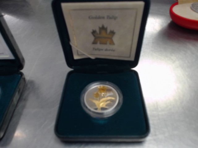Golden tulip silver coin
