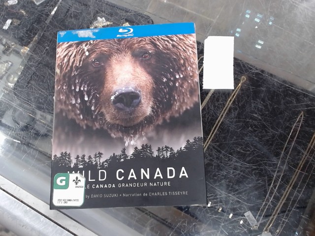 Wild canada