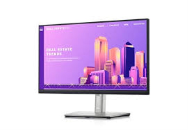Moniteur dell 22 pouce