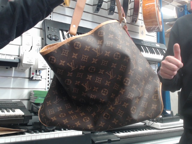 Louis vuitton delightful canvas