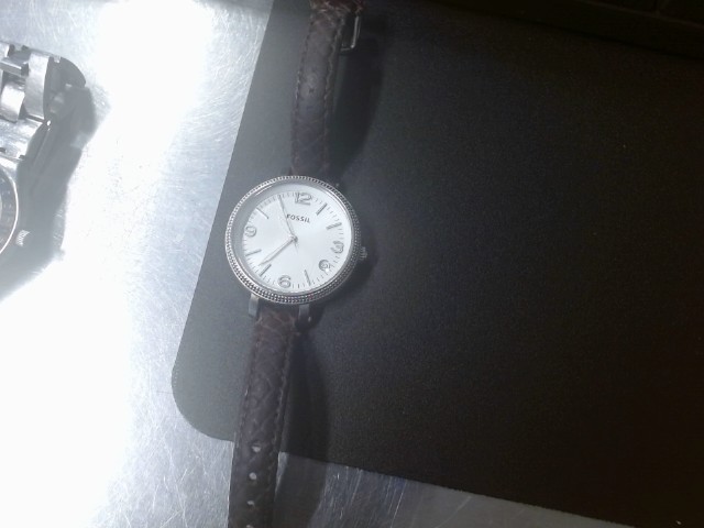 Montre fossile