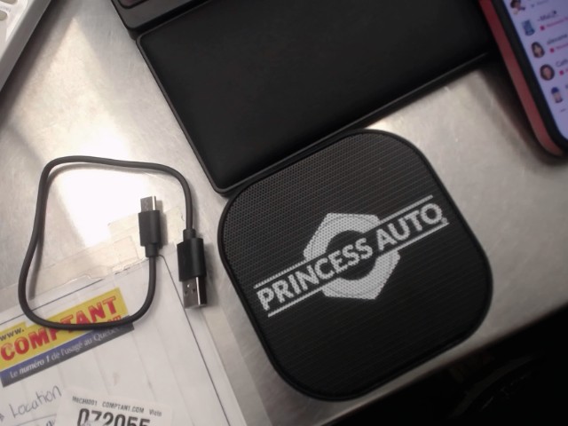 Speaker princess auto