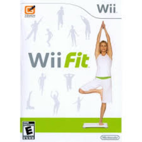 Wii fit