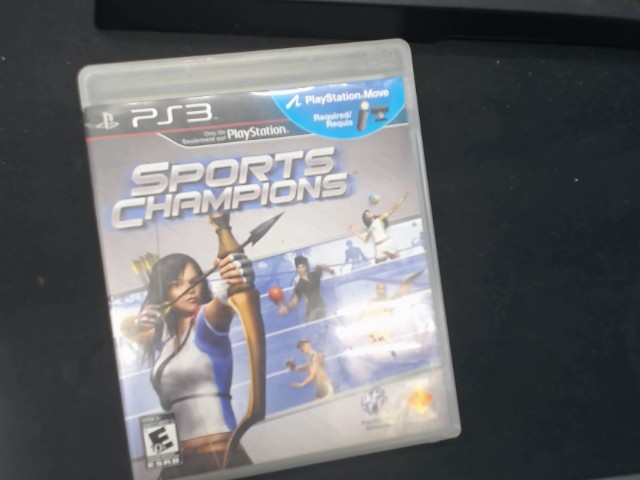 Sports champion