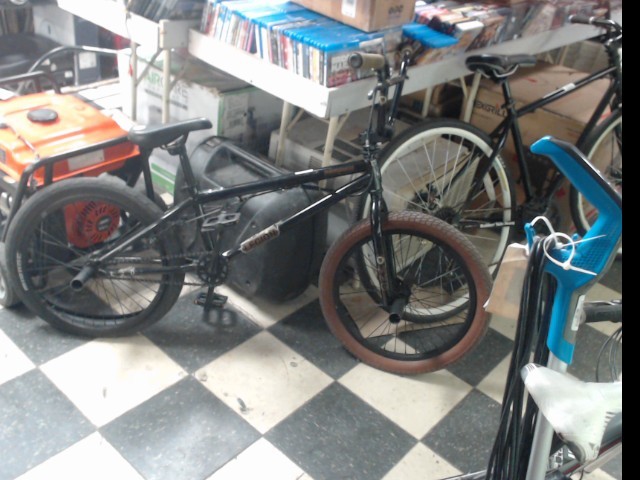 Bmx mongoose