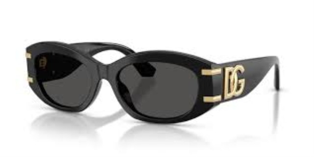 Lunette de solei dg noir + case